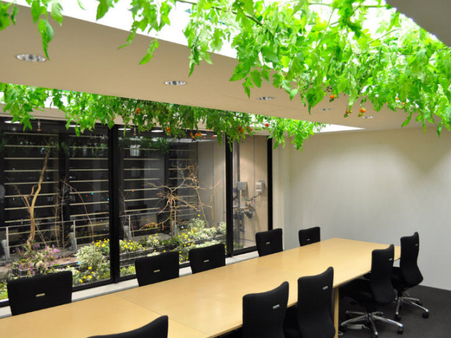 Pasona-HQ-Kono-Designs-12