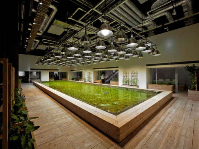 Pasona-HQ-Kono-Designs-5