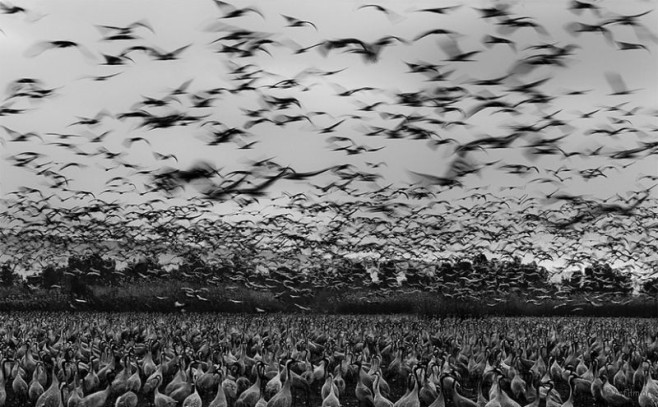 bnw04