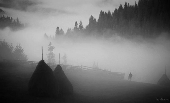 bnw05
