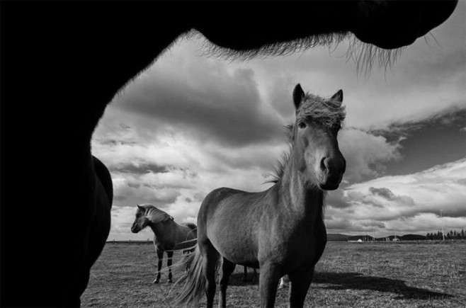 bnw13