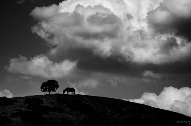 bnw14