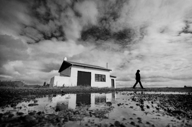 bnw15