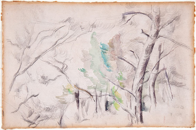 塞尚水彩畫《樹》。圖取自Barnes Foundation。