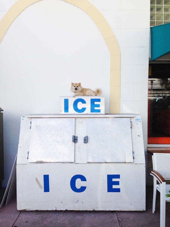 1141