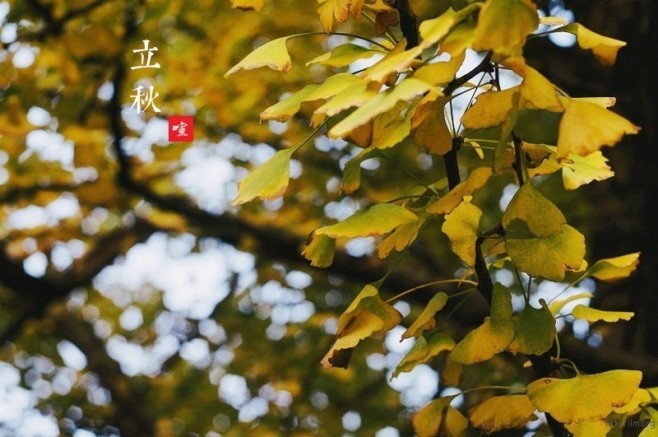 435cfa1c9d55c2a2f1861513e0326e0e.XL_13