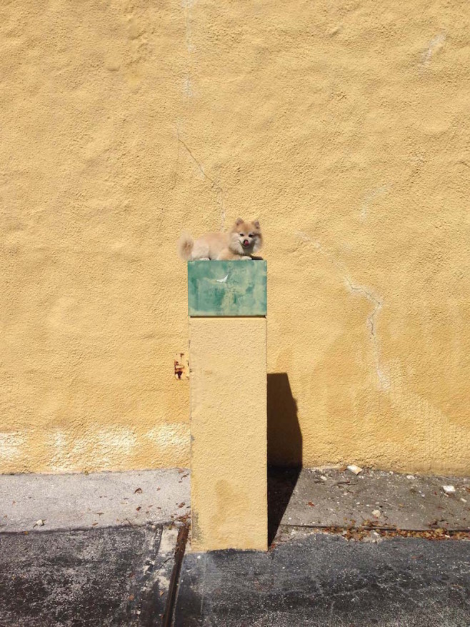 731