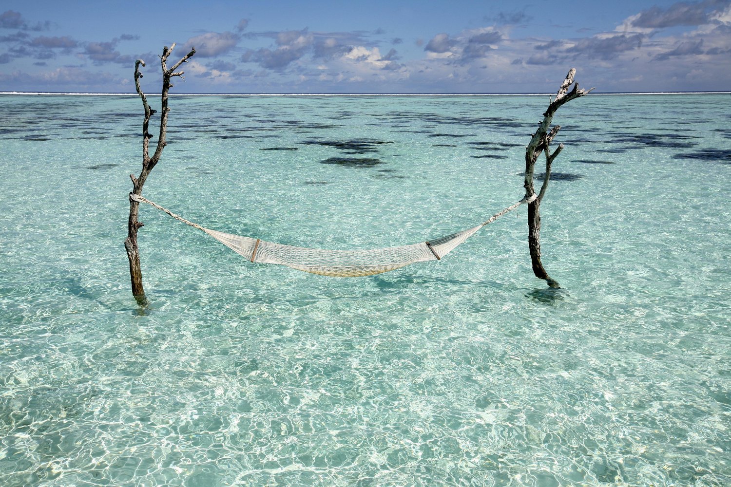 Hammock in between trees