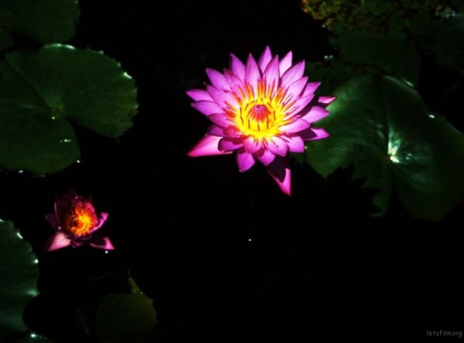 img037_1_副本