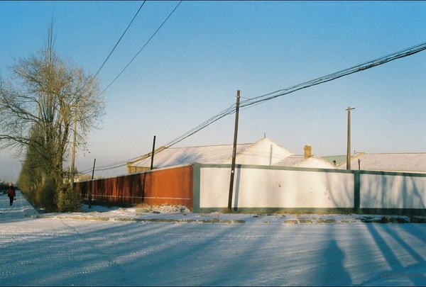 p1141422436