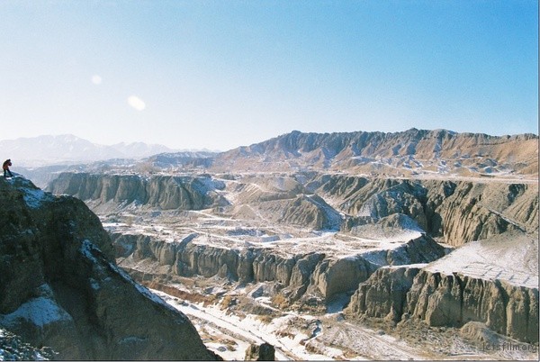 p1141449711