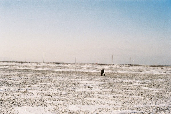 p2235178732