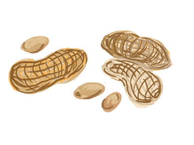 peanut