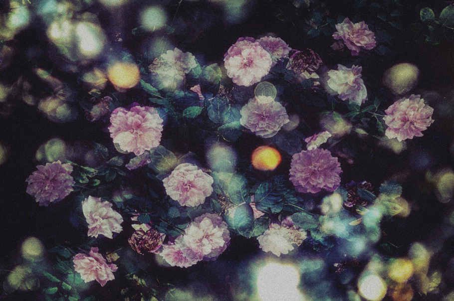 tumblr_njgiwlB6VO1redhwqo1_1280