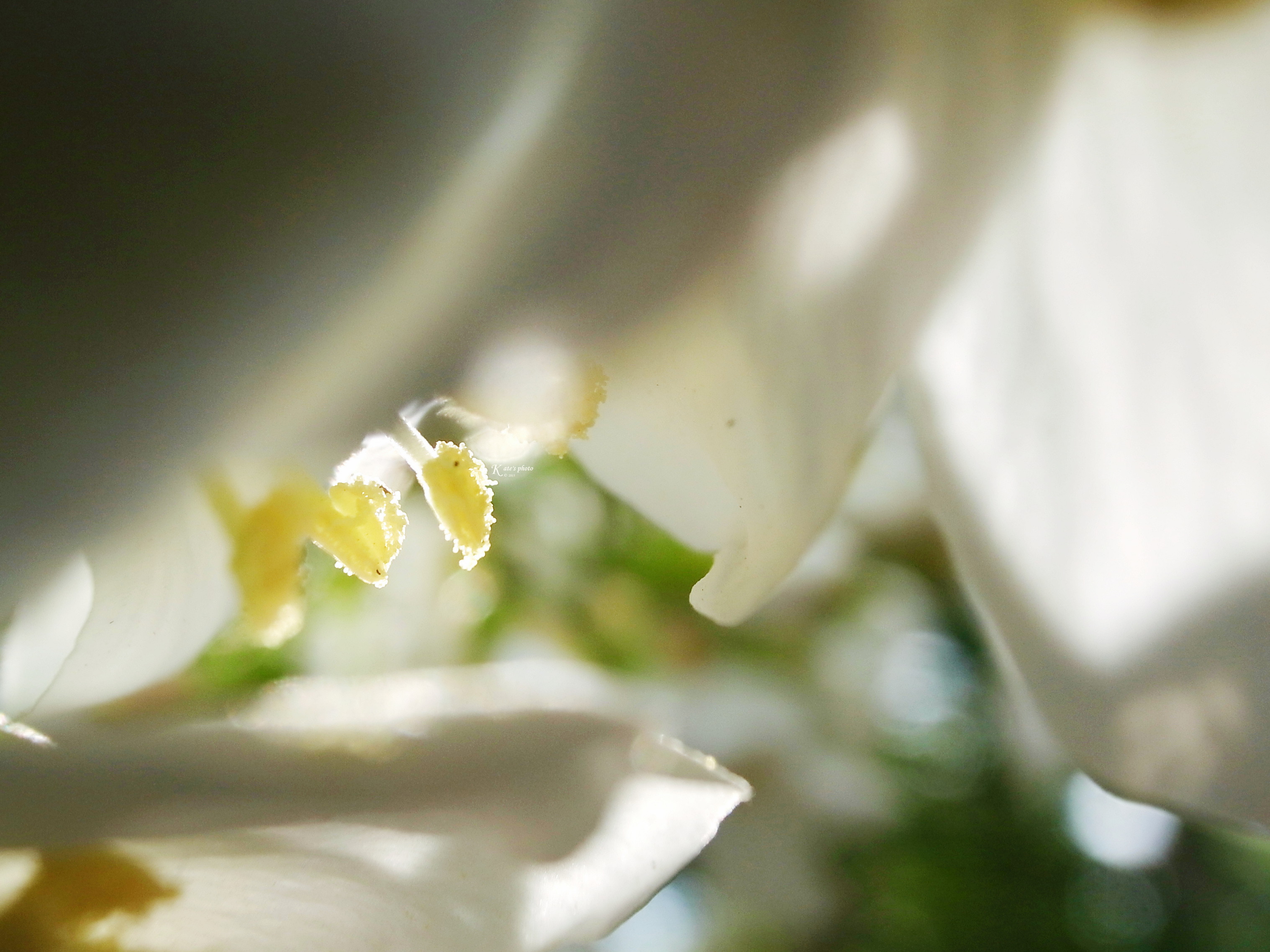 R0025507OKOKw
