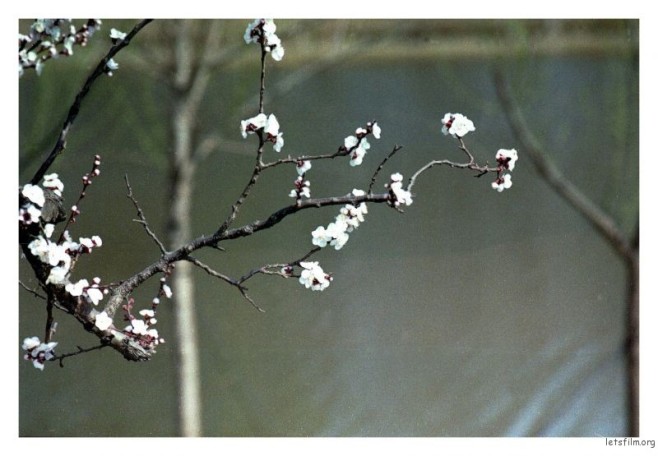 Untitled-71