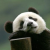 潘德曼