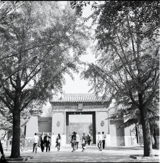 Image-2-2_副本