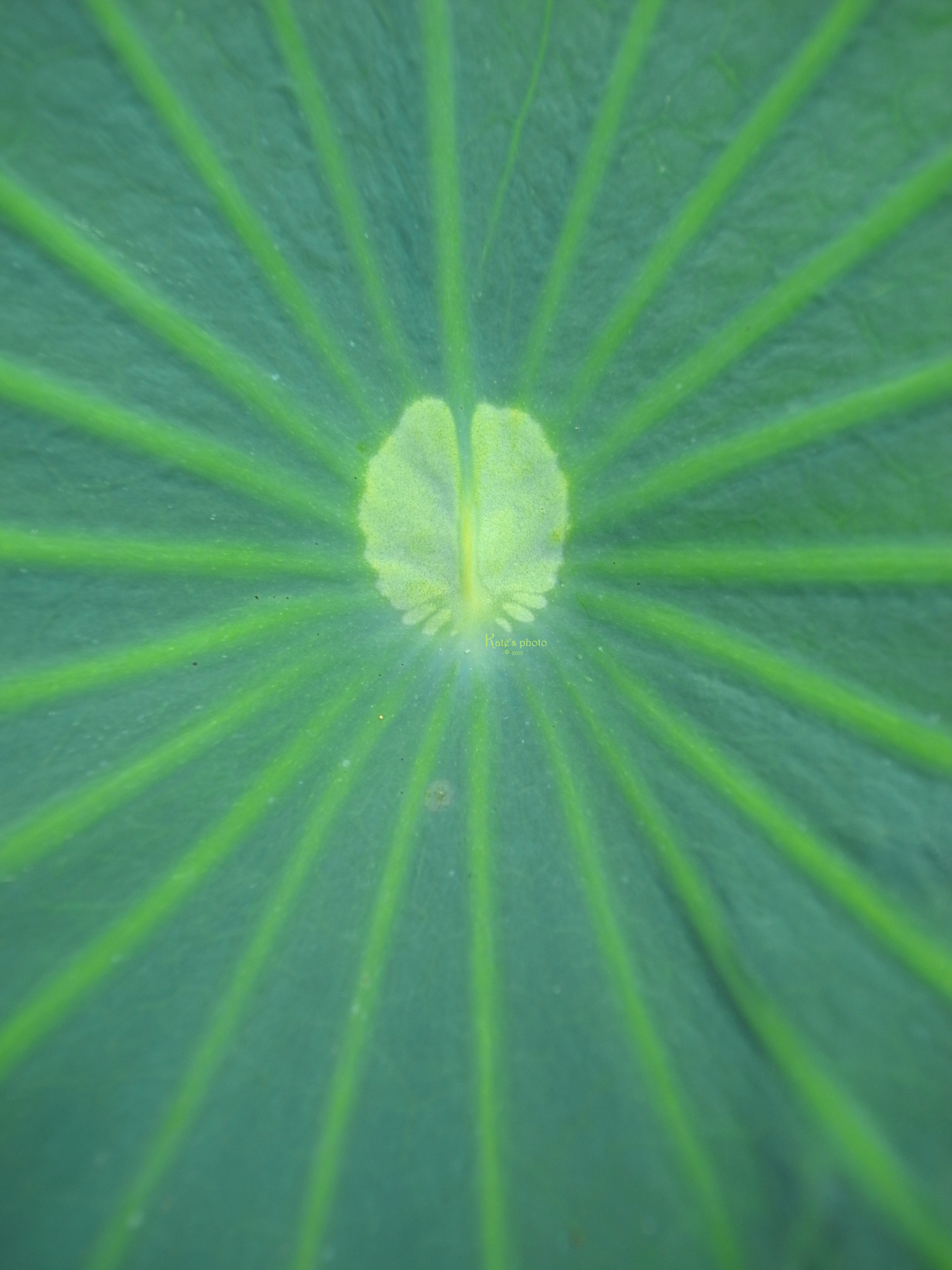 R0031837OKW