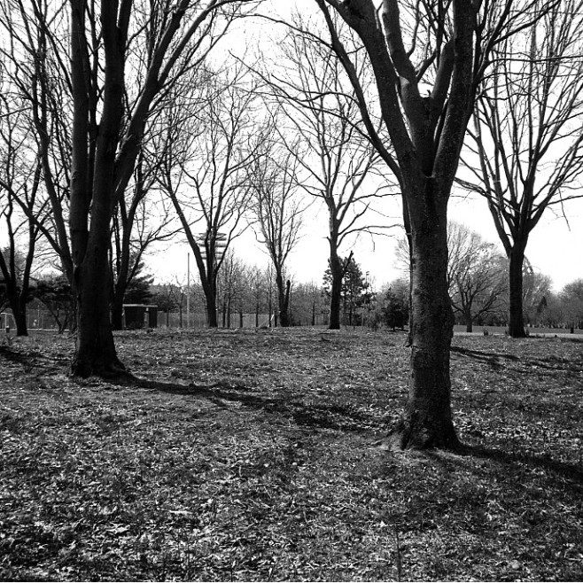 img364-copy2