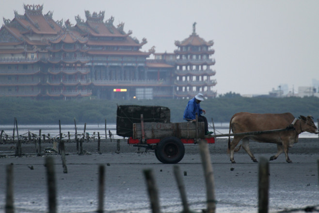 台北藝術節3-芳苑白馬峰普天宮，在岸邊守護著這片海域上的漁民們，豐收平安。2016年將因台61線道路，將被遮蔽視線，無法從潮間帶直接看到。