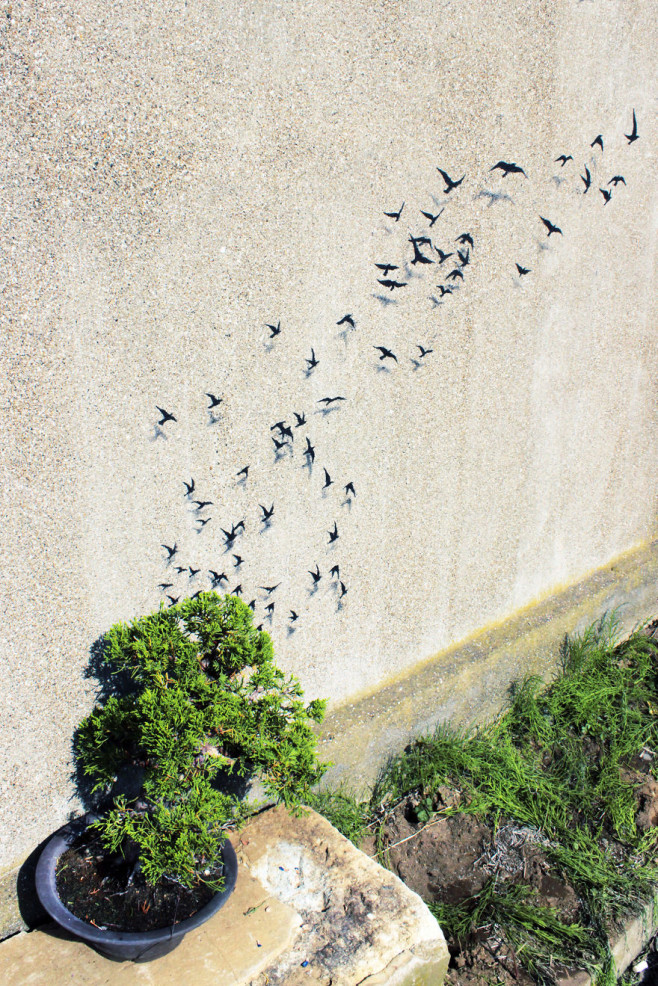 Asias-social-and-political-issues-through-the-surrealistic-eyes-of-Pejac.24__880