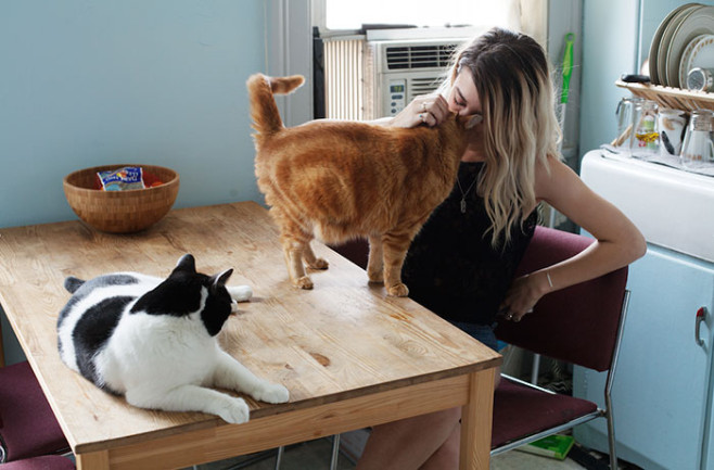 My-photo-series-of-Girls-and-Their-Cats-on-Instagram.__700