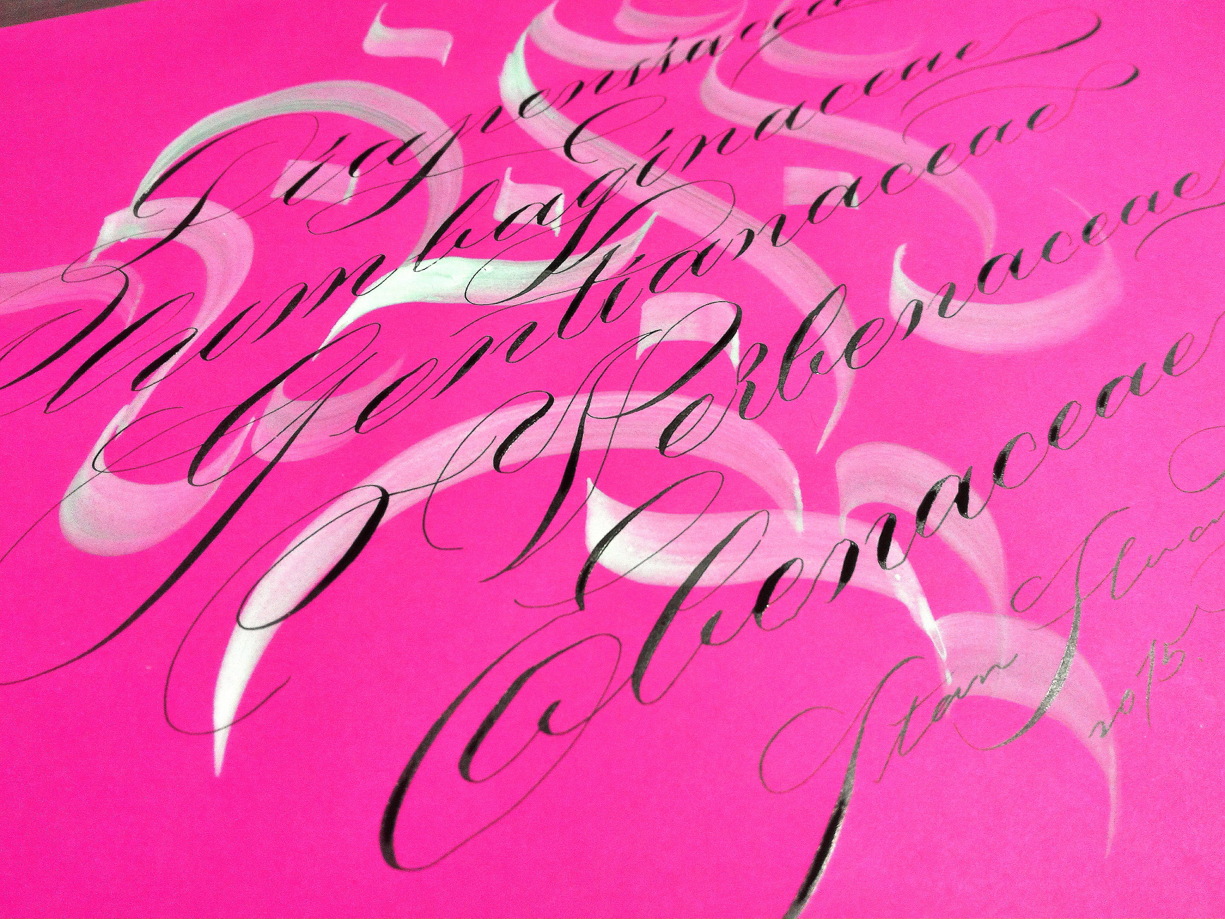 Colorful Calligraphy
