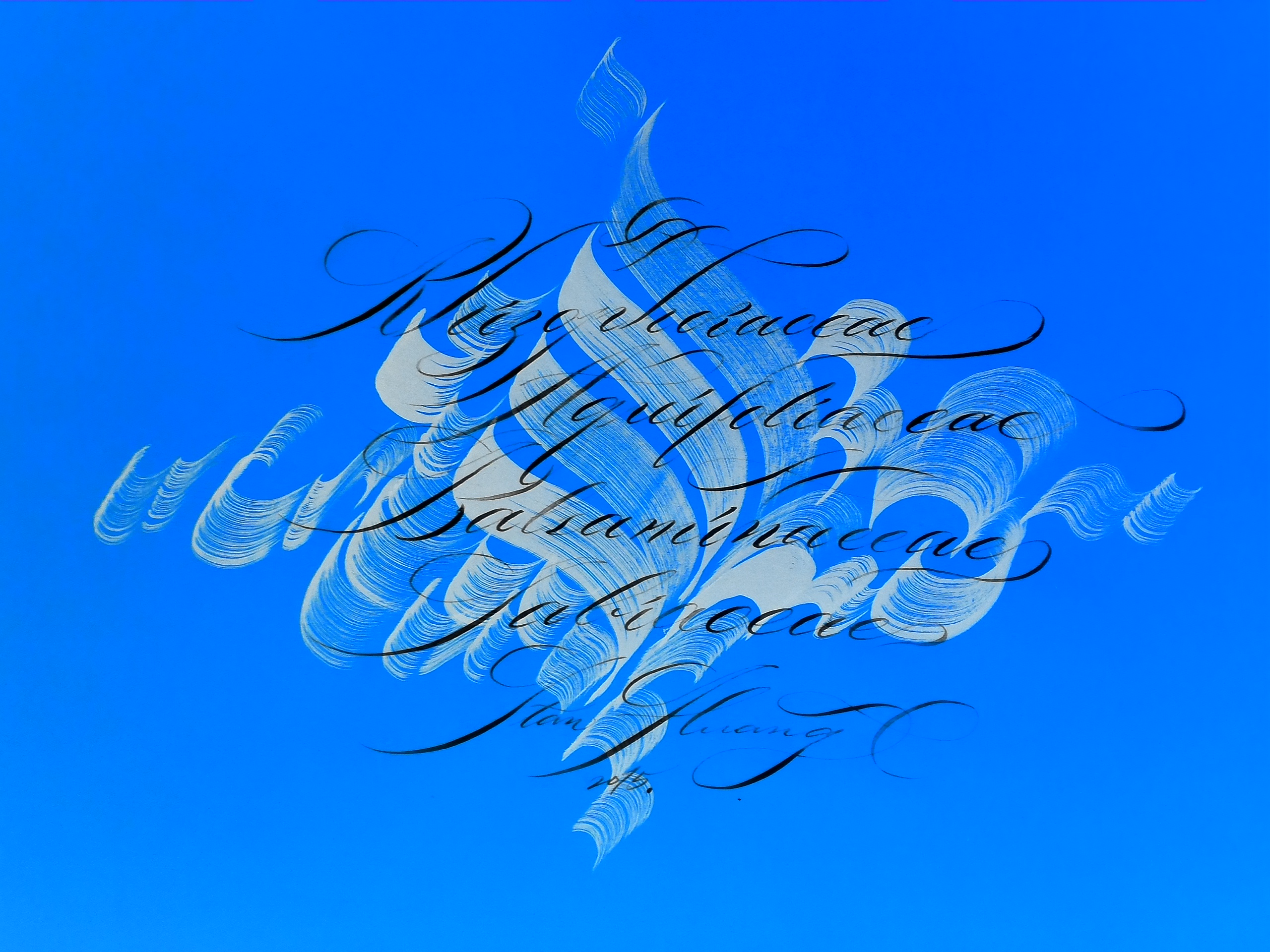 Colorful Calligraphy