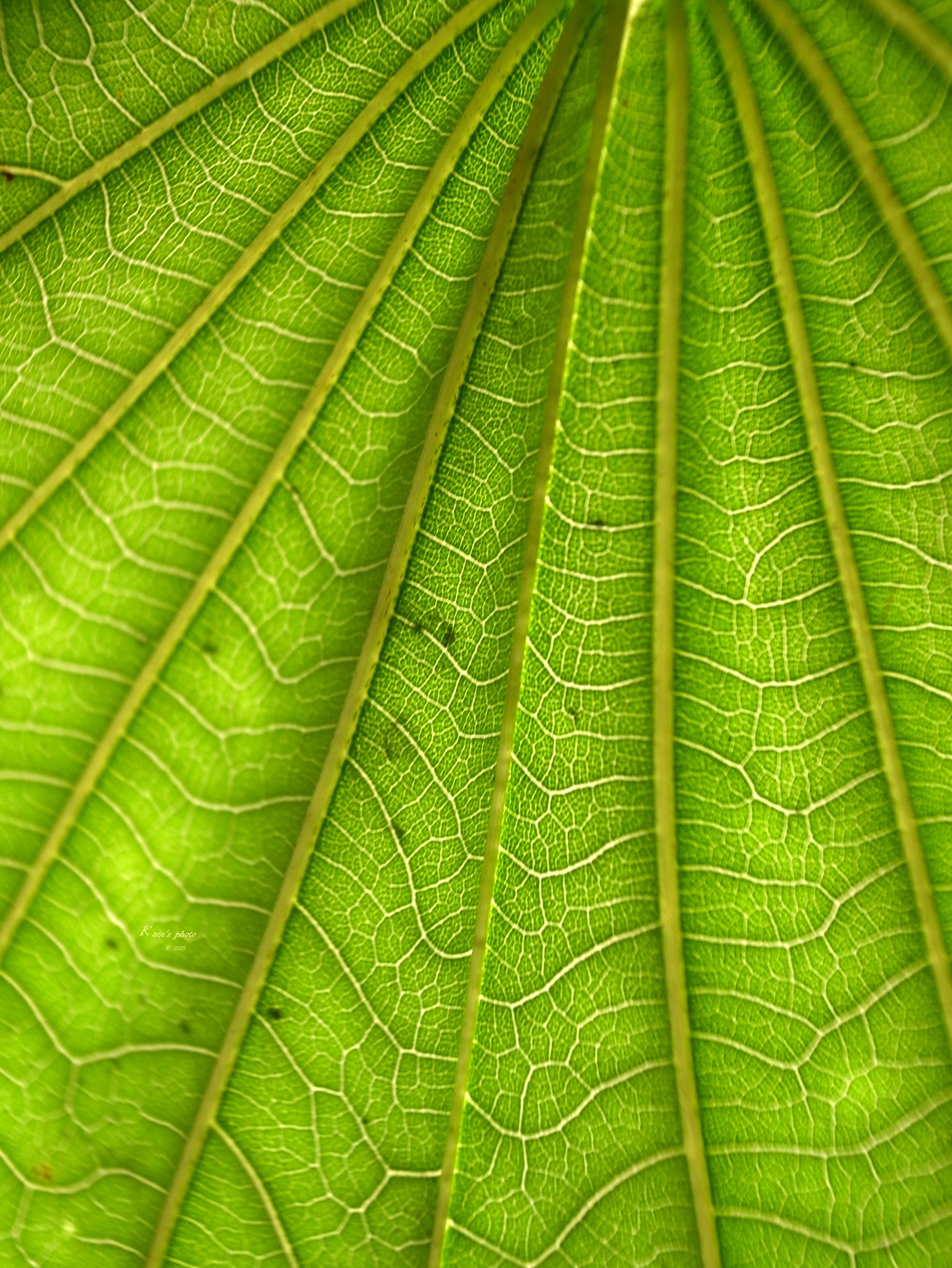 R0010793w