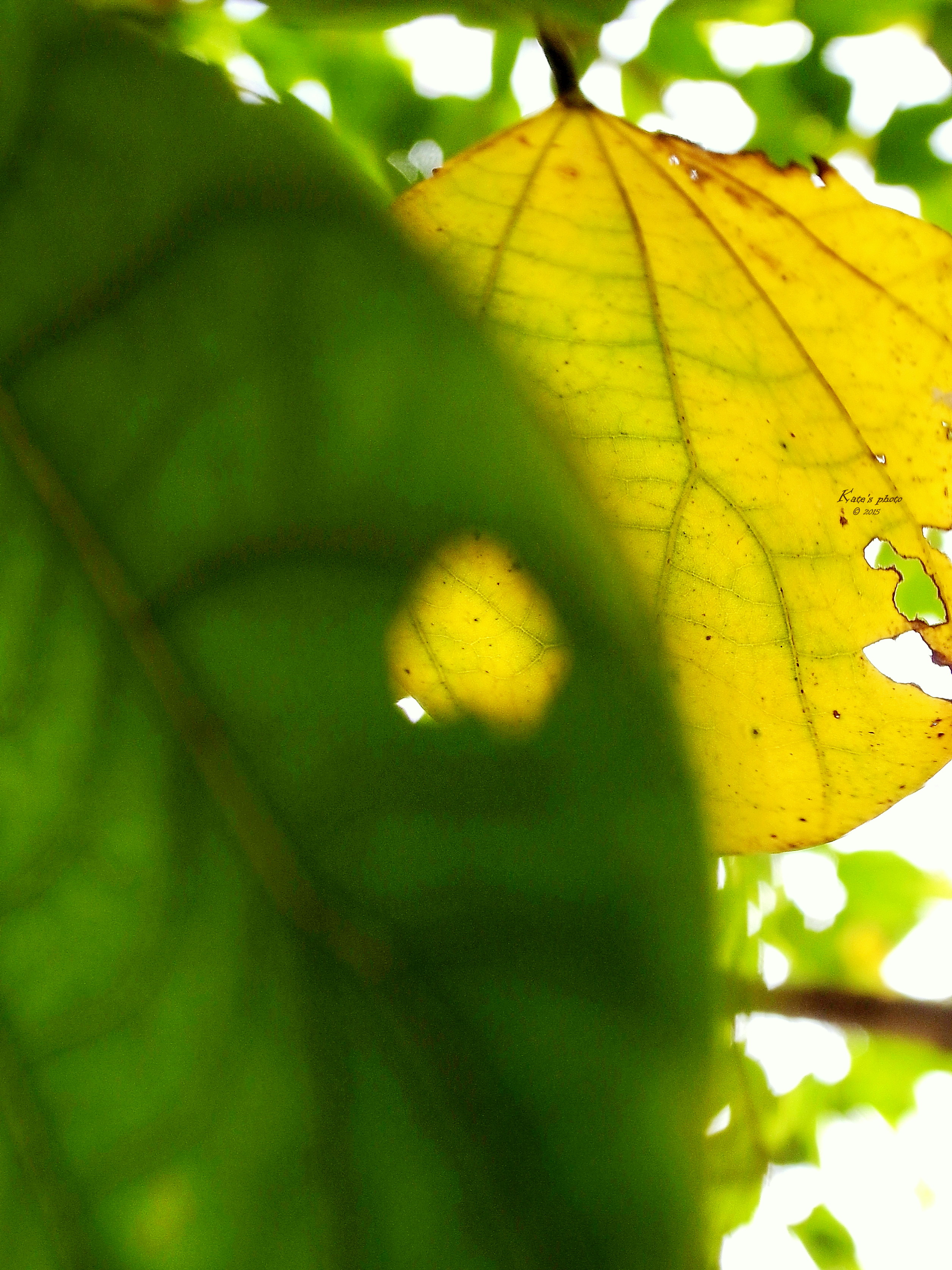 R001137701gdw