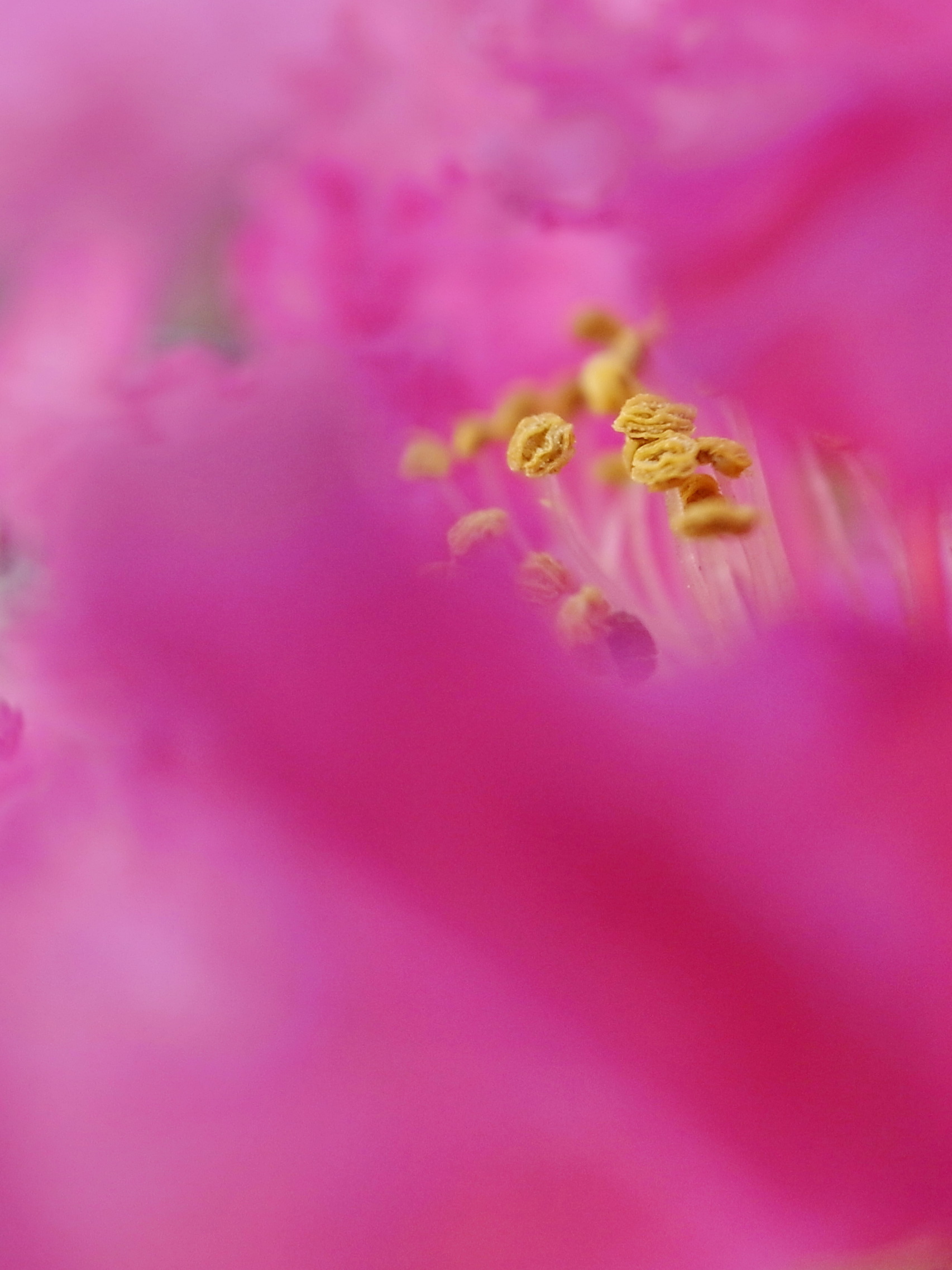 R0029725GD