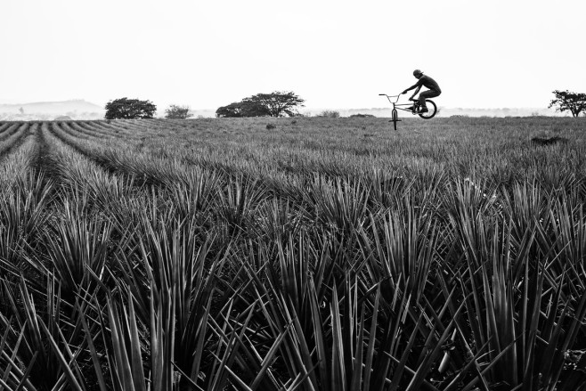daniel-sanchez-santiago-de-tequila