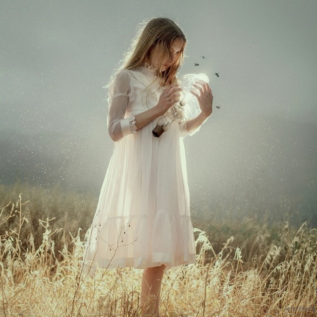 stoddard-2-640x6401