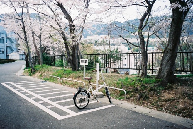 FH010007