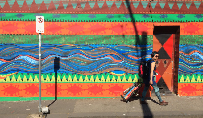 Bee in Fitzroy