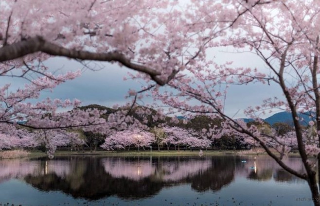 JapanImmersionPhotography10-900x580