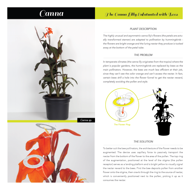 03PSX Consultancy @ PSX Consultancy_Canna_Schematics