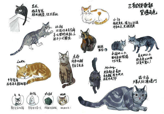 cats poster