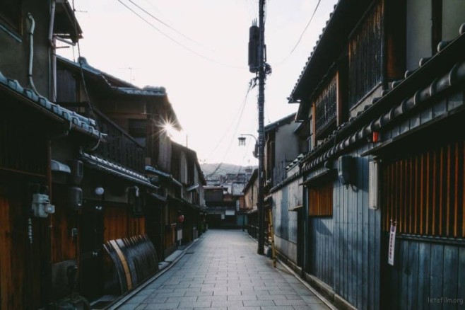 mogi-141-900x600