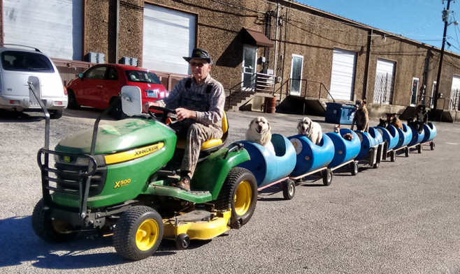rescued-dog-train-tractor-stray-eugene-bostick-4