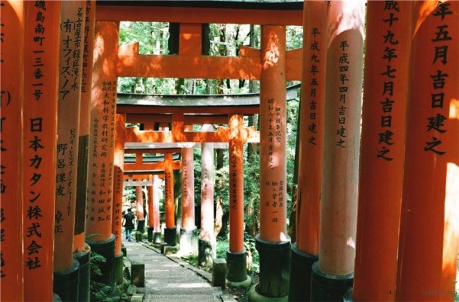 66-日本-伏见稻荷