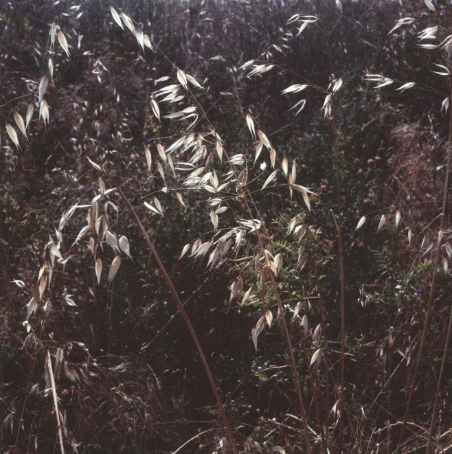 Scan-150915-0004