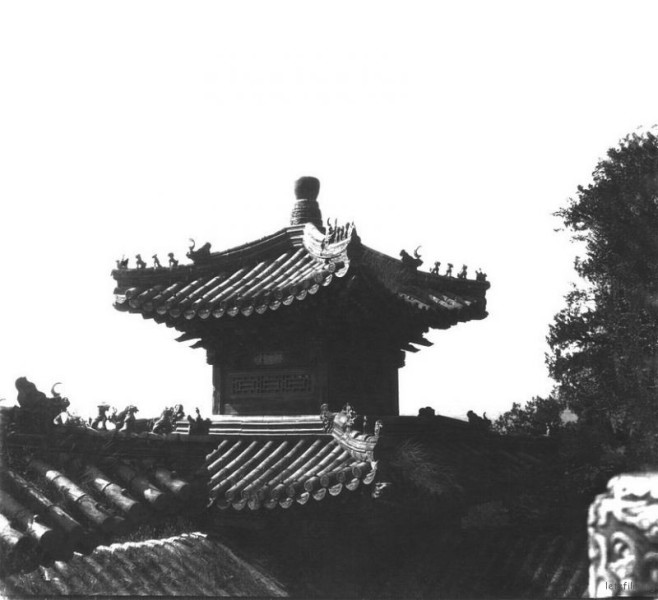 shanghai16