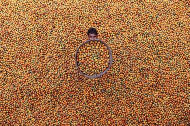 3131