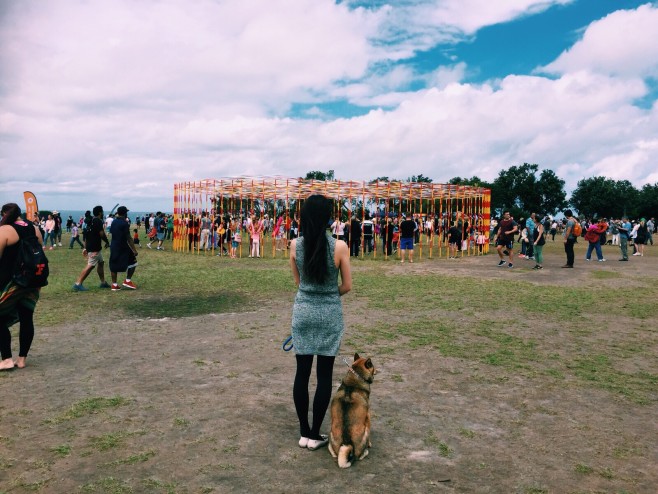 Sculpture By The Sea, Bondi 2015 「邦迪海邊雕塑展2015」