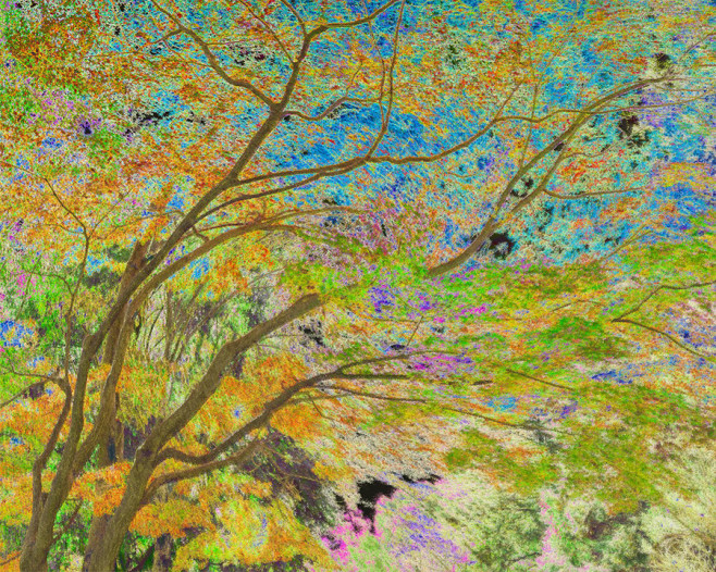 黃佳惠 Sylvia Huang_當風吹過_99X124cm＿2015_Hahnemuehle Monet Canvas
