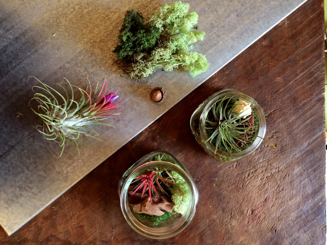 Ball Jar2 (3)