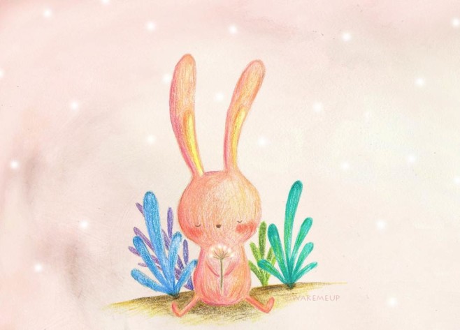 rabbit with background with c