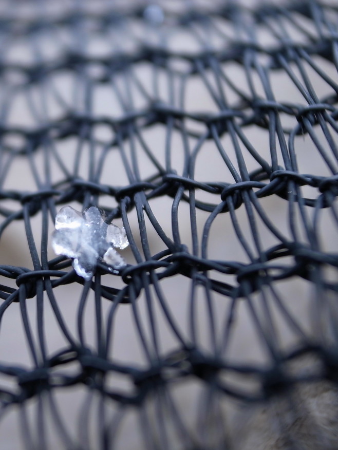 R1067606OOK